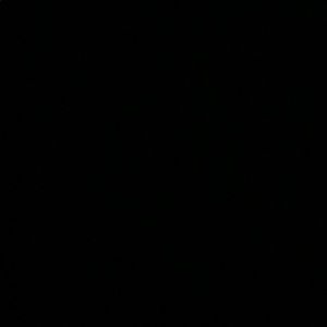 Meet your Posher, Bradee